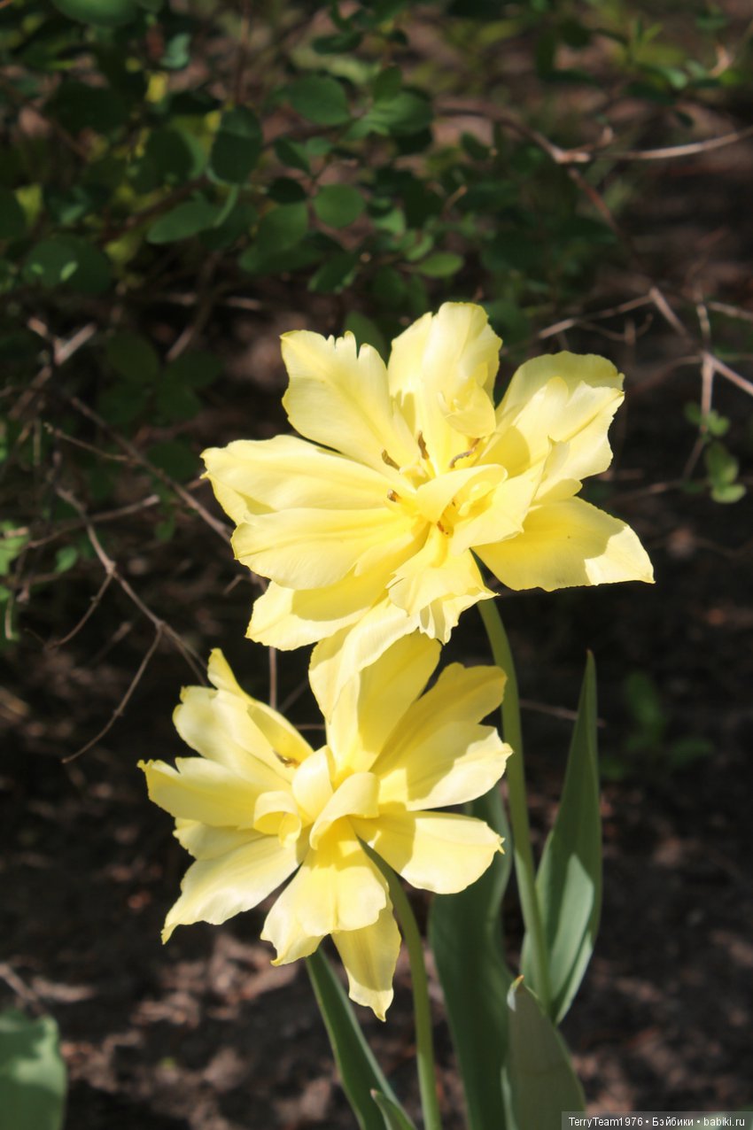 Железный человек: Приключения без брони. Весенние каникулы в Ярославле. Часть 1