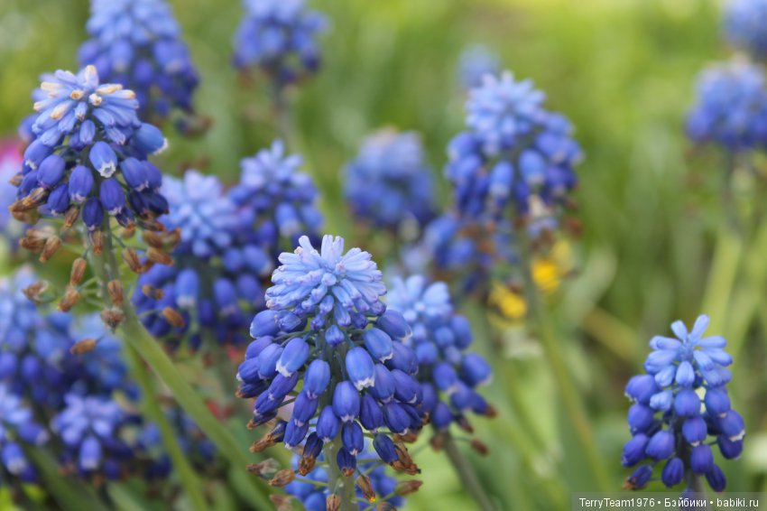 Железный человек: Приключения без брони. Весенние каникулы в Ярославле. Часть 1