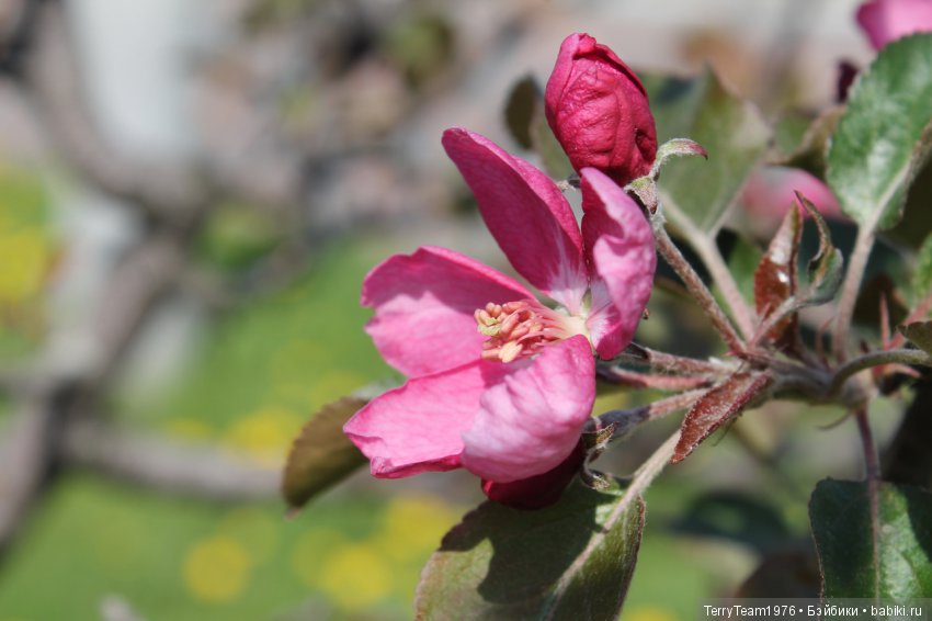 Железный человек: Приключения без брони. Весенние каникулы в Ярославле. Часть 1