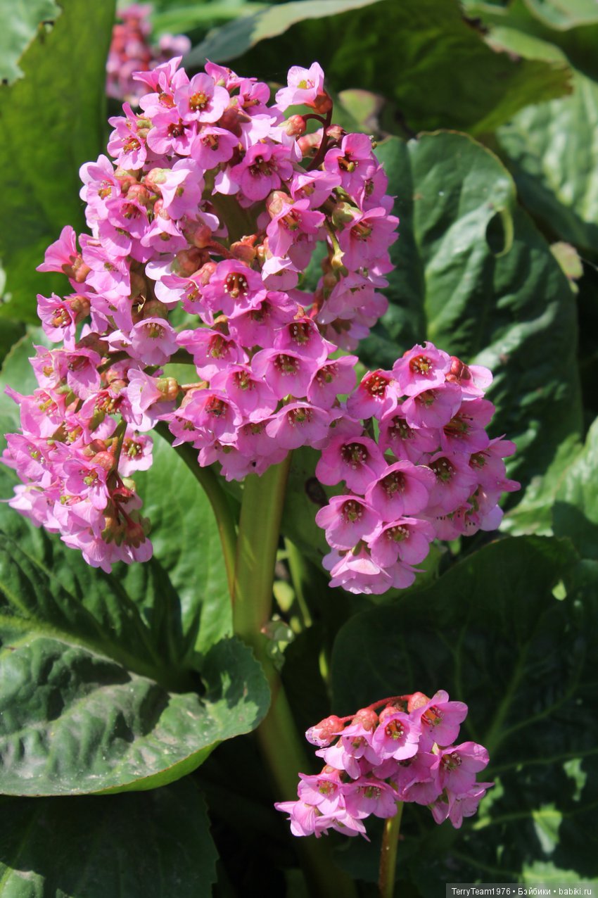 Железный человек: Приключения без брони. Весенние каникулы в Ярославле. Часть 1