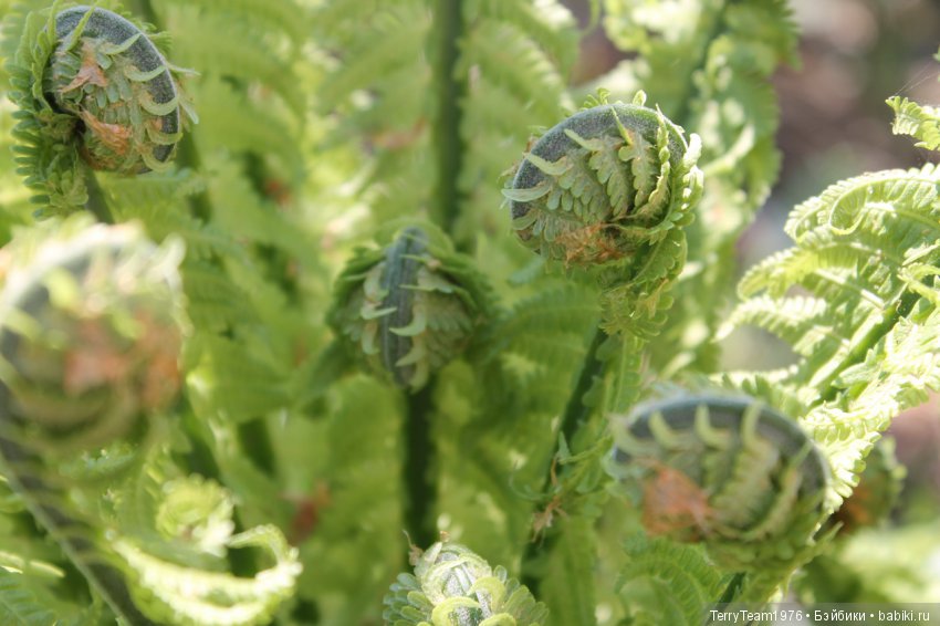 Железный человек: Приключения без брони. Весенние каникулы в Ярославле. Часть 1