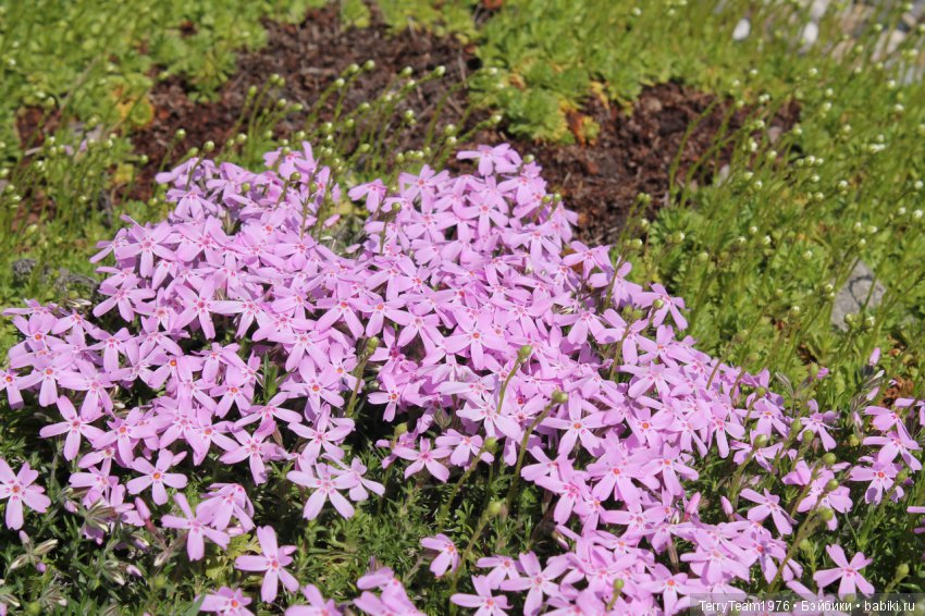 Железный человек: Приключения без брони. Весенние каникулы в Ярославле. Часть 1