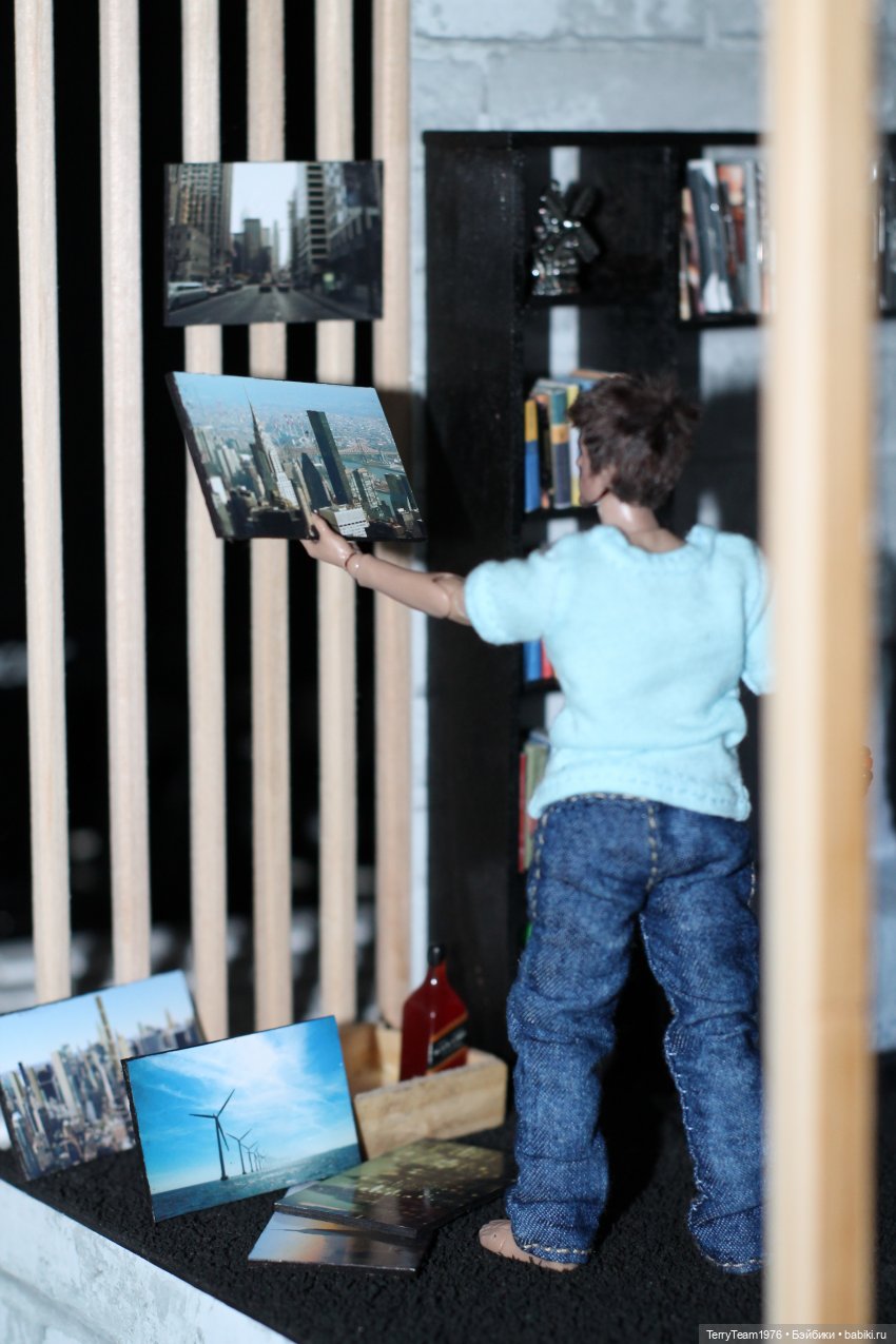 Новосёл | Бэйбики Новосёл — Коллекционные экшн