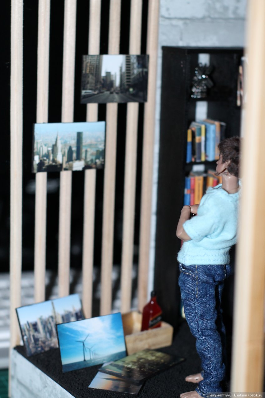 Новосёл | Бэйбики Новосёл — Коллекционные экшн