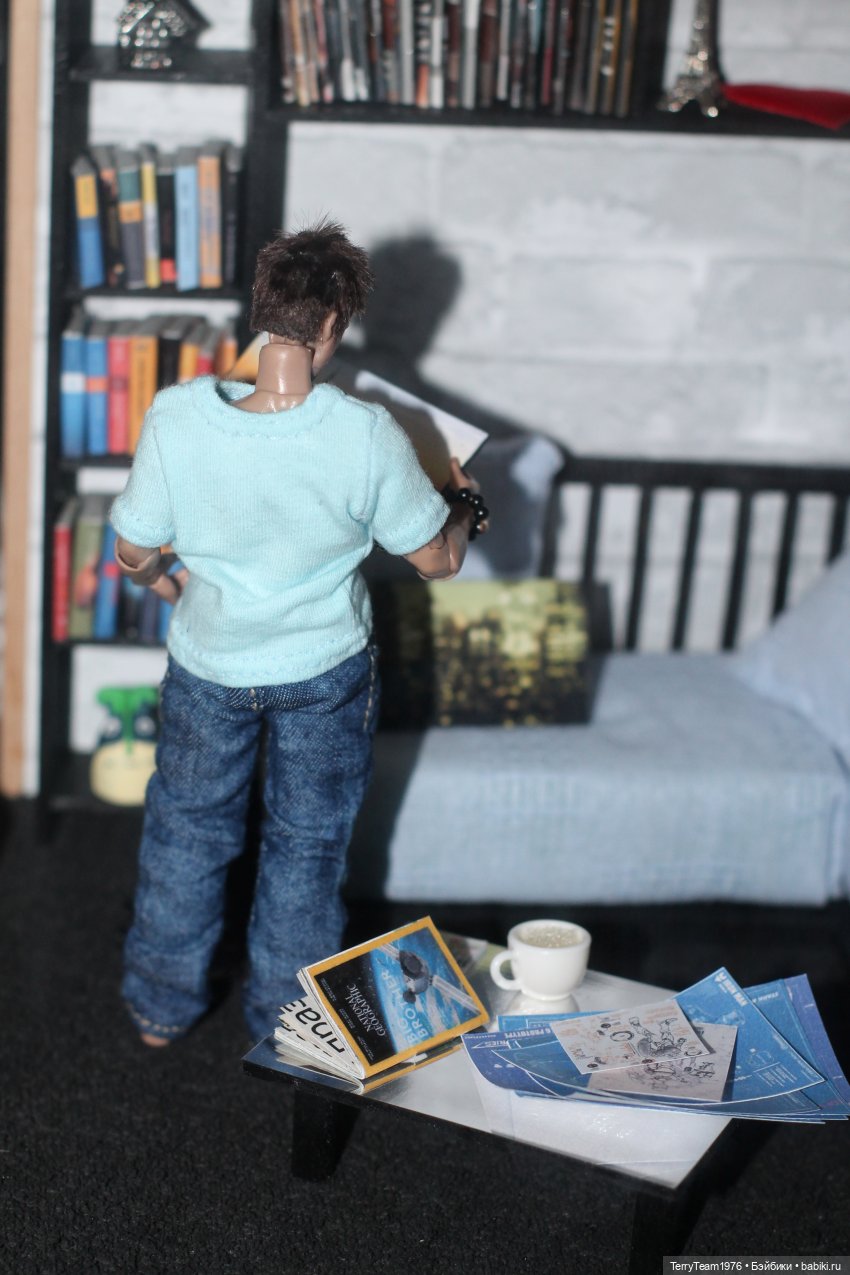 Новосёл | Бэйбики Новосёл — Коллекционные экшн