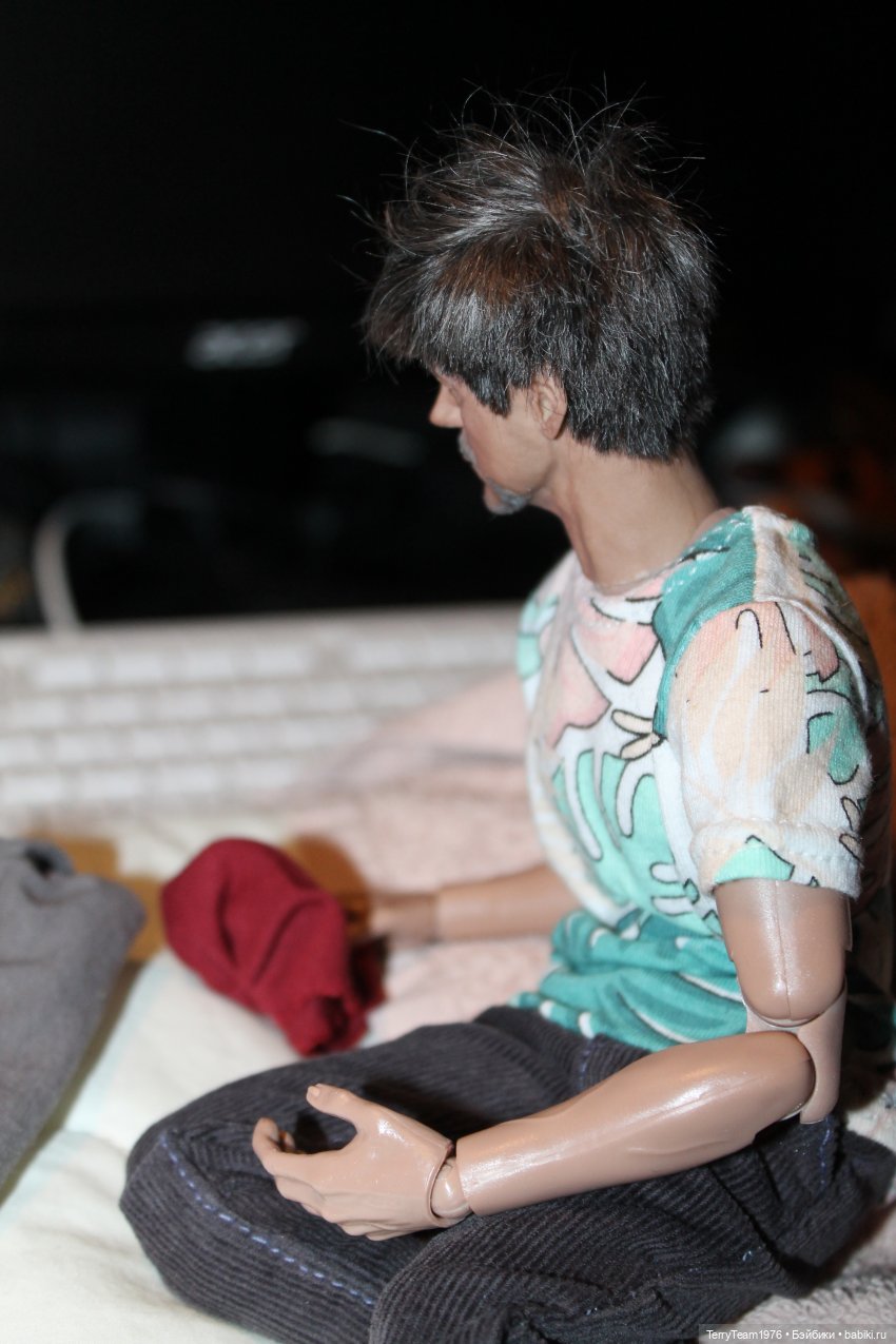 Лис просыпается — Коллекционные экшн