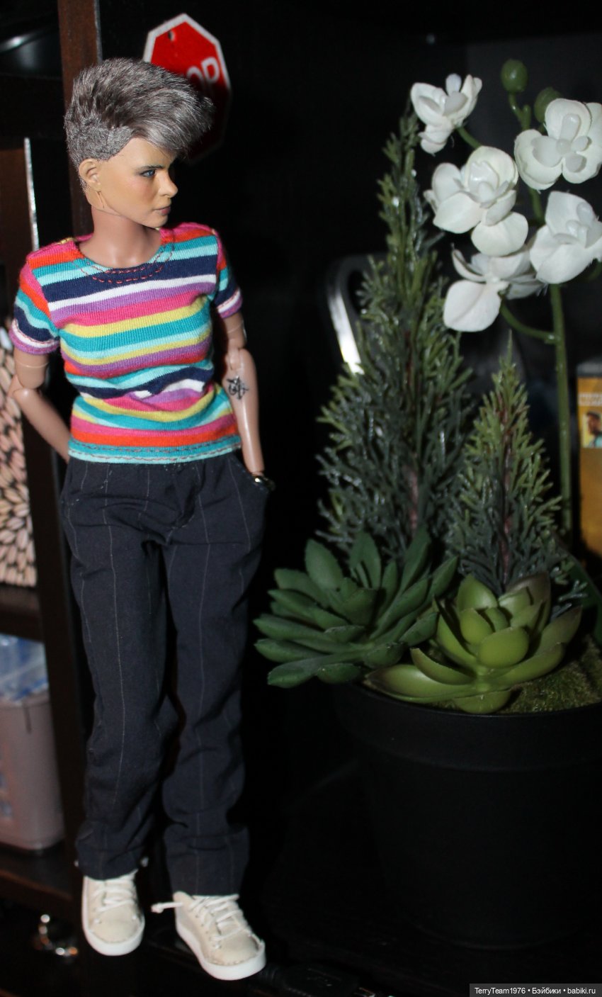 Дом, в котором я живу — Коллекционные экшн