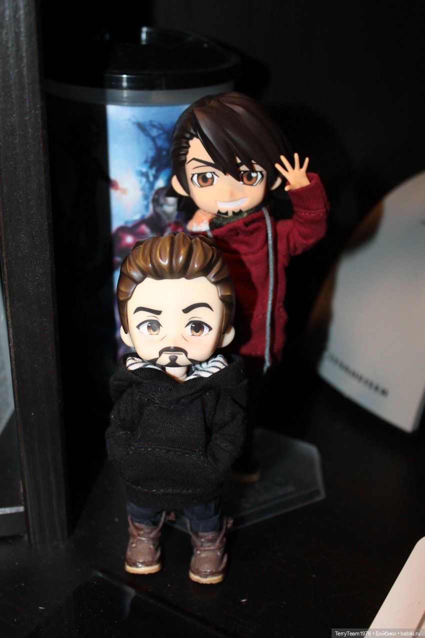 Дом, в котором я живу — Коллекционные экшн