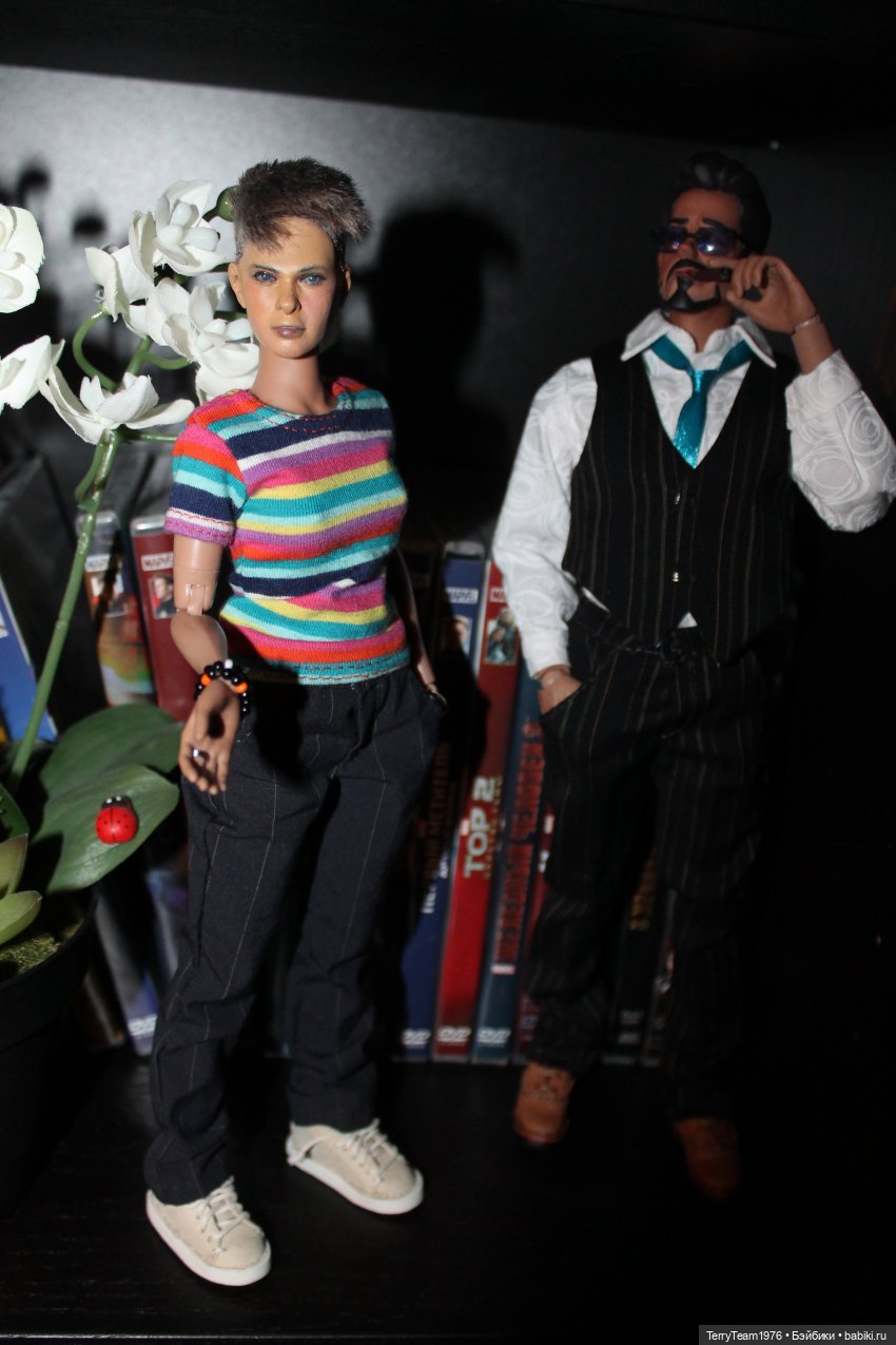 Дом, в котором я живу — Коллекционные экшн