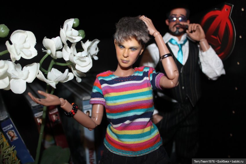 Дом, в котором я живу — Коллекционные экшн