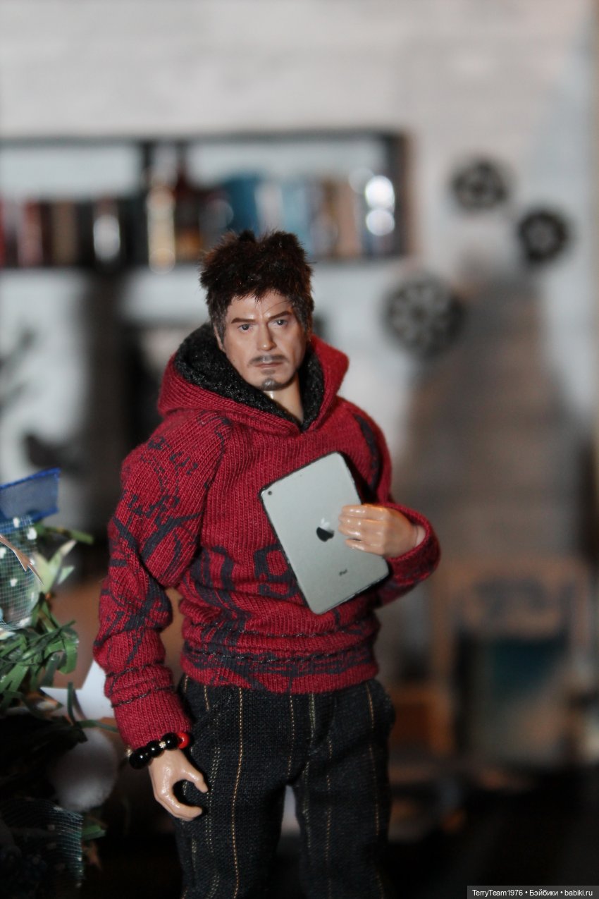 Дом, в котором я живу — Коллекционные экшн