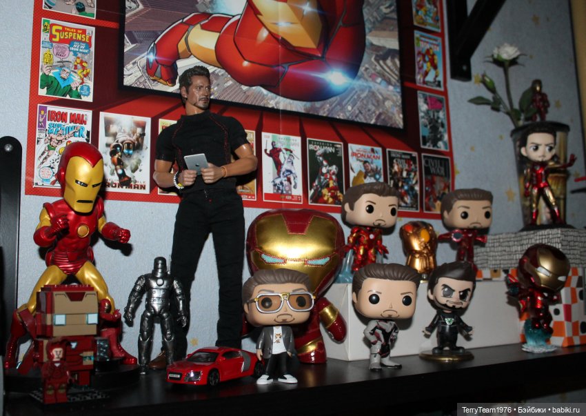 Дом, в котором я живу — Коллекционные экшн