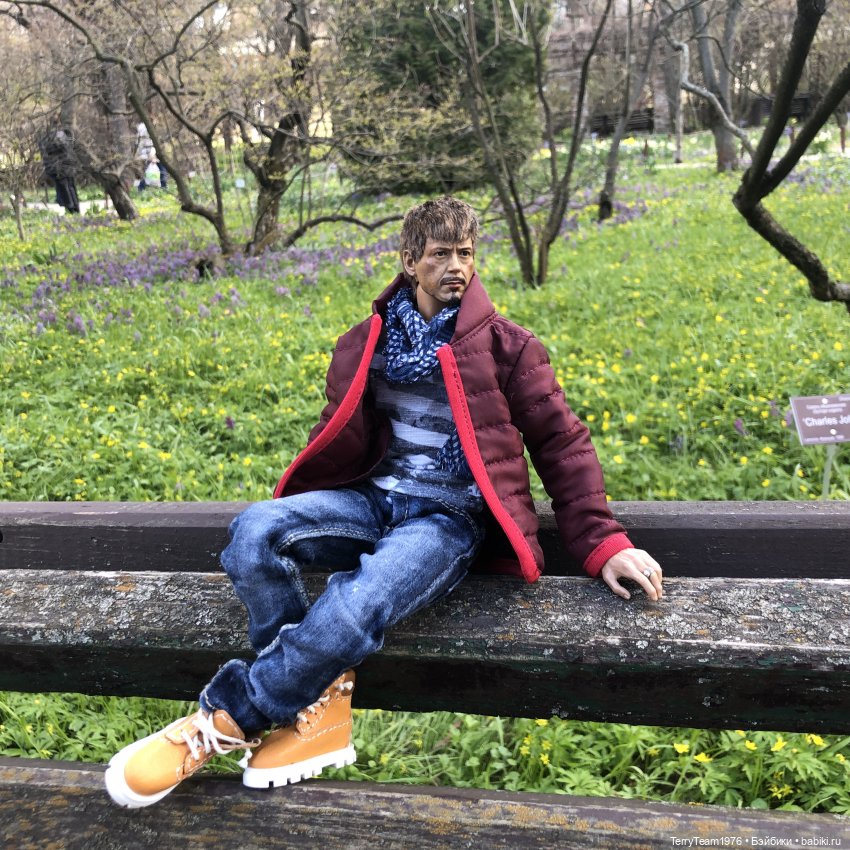 Тони Старк: приключения без брони. Покоритель альпийских горок