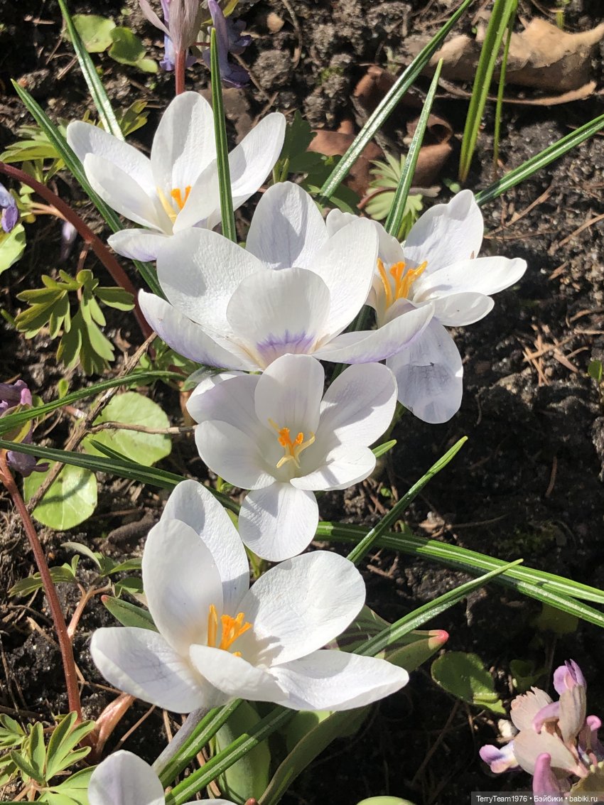 Тони Старк: приключения без брони. Покоритель альпийских горок (фото 2)