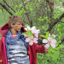 Тони Старк: приключения без брони. Ханами по-нашему