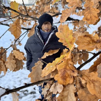 Снежная сказка