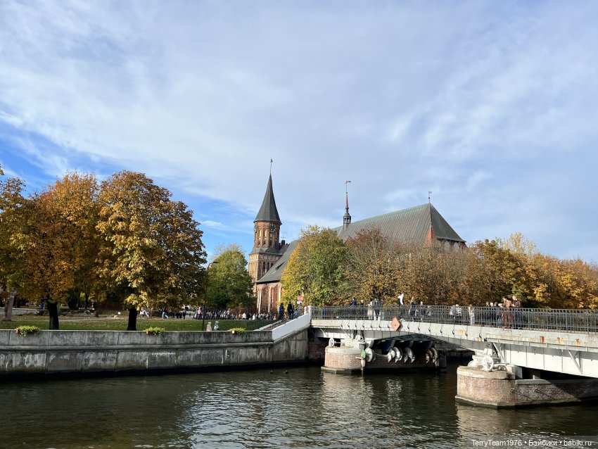 Осень с Тони — Коллекционные экшн