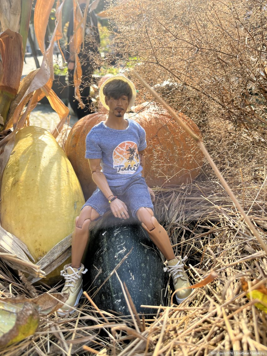 Осень с Тони — Коллекционные экшн