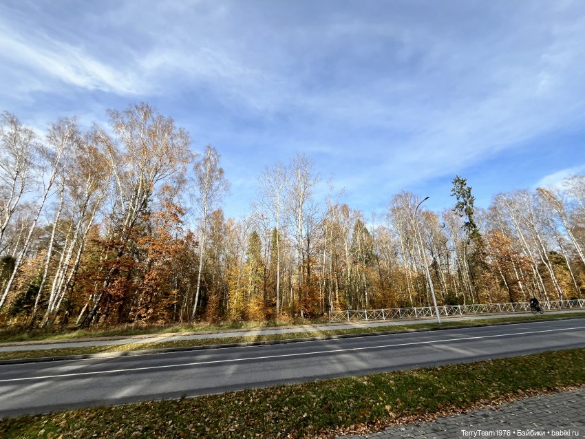 Осень с Тони — Коллекционные экшн