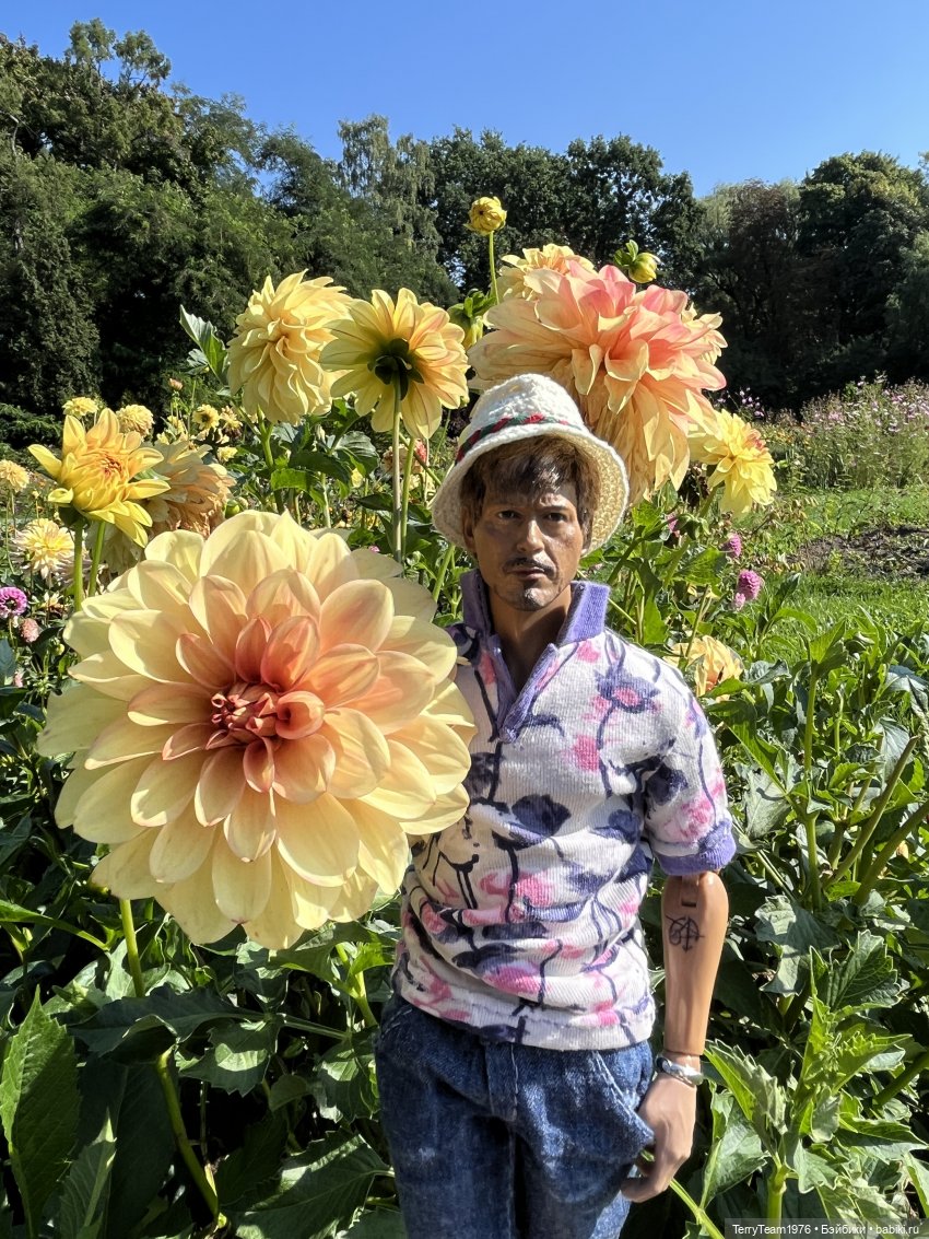 Осень с Тони — Коллекционные экшн (фото 4)