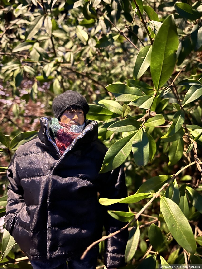 Предновогоднее настроение