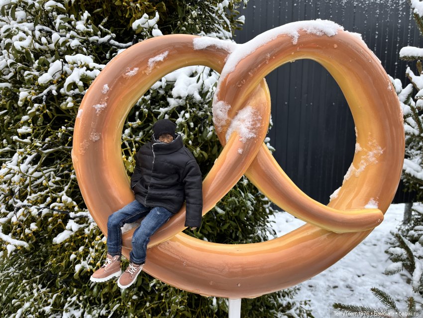 Тони Старк: Первая январская прогулка (фото 7)
