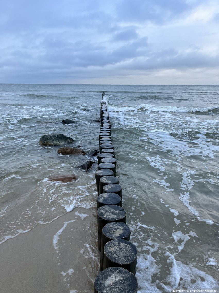 Тони Старк: Первая январская прогулка (фото 4)
