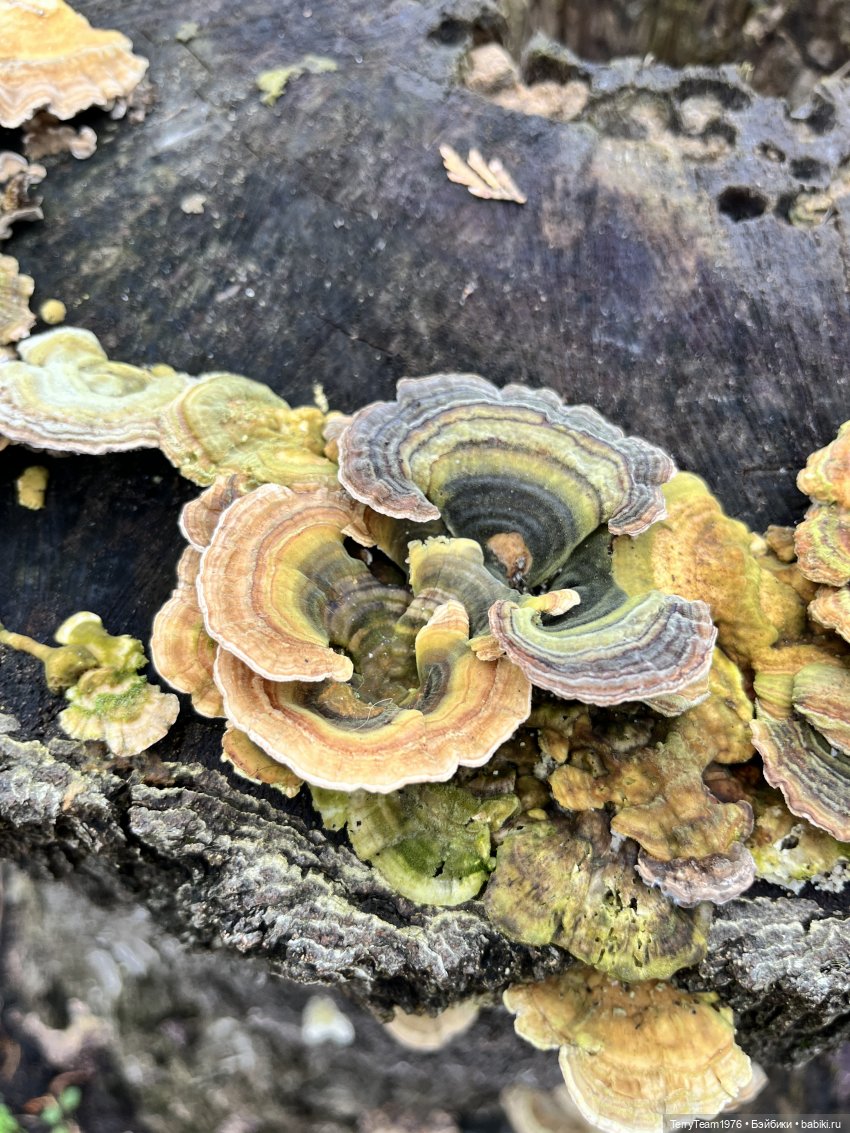 Что мне снег, что мне зной