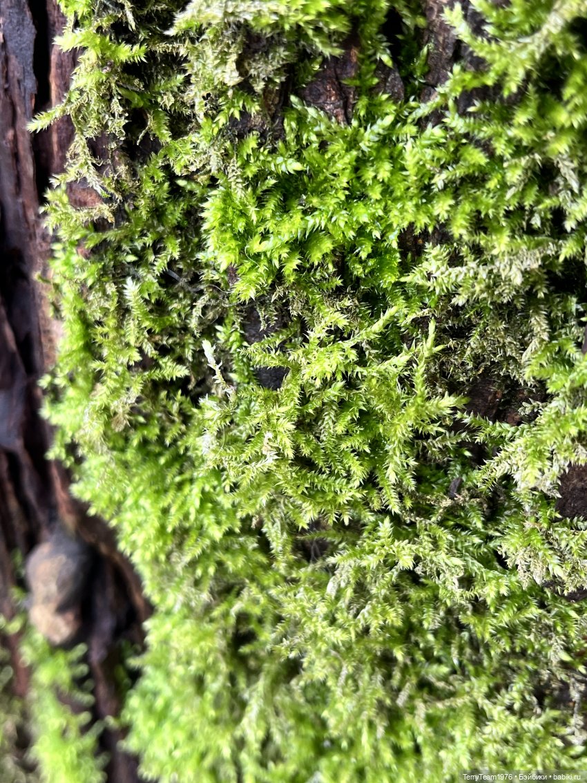 Что мне снег, что мне зной