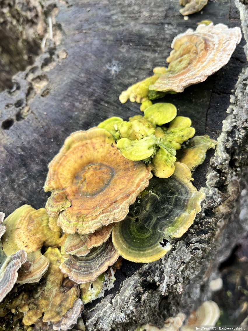 Что мне снег, что мне зной