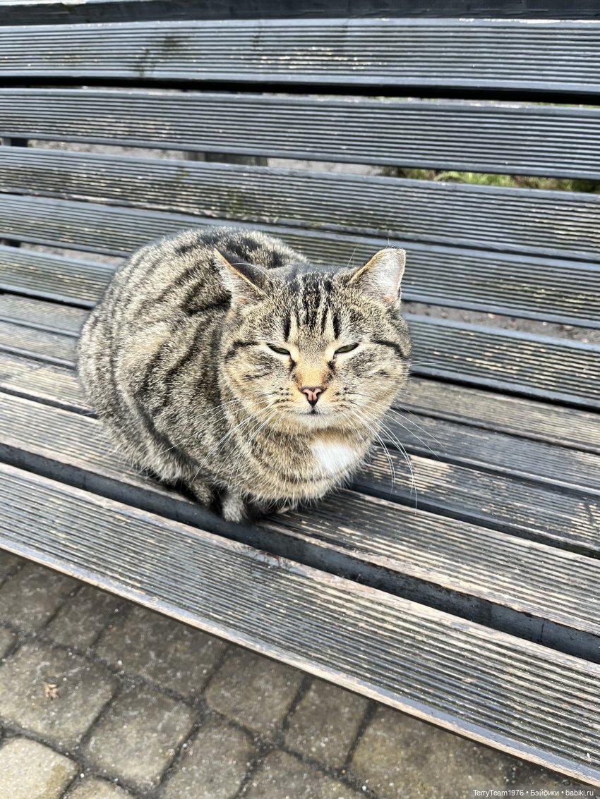 Что мне снег, что мне зной