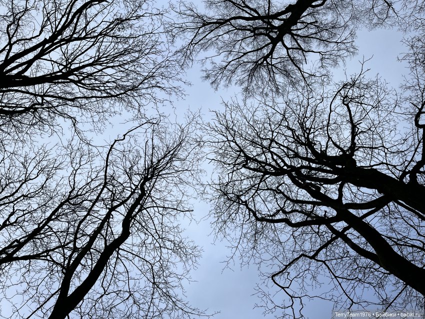 Что мне снег, что мне зной