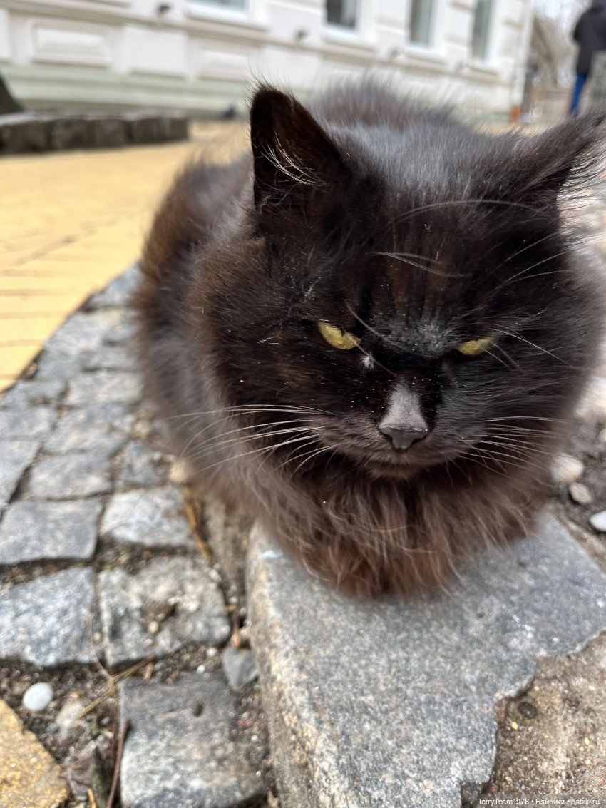 Что мне снег, что мне зной