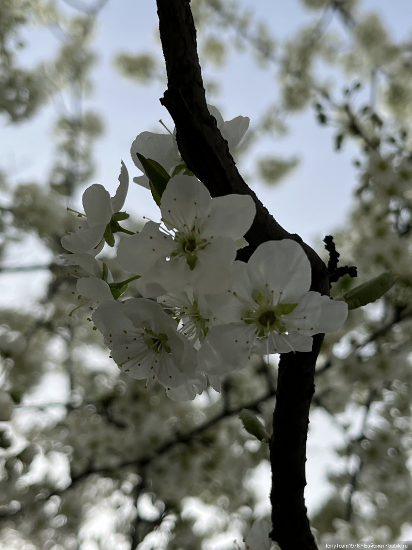 Это просто праздник какой-то! (с)