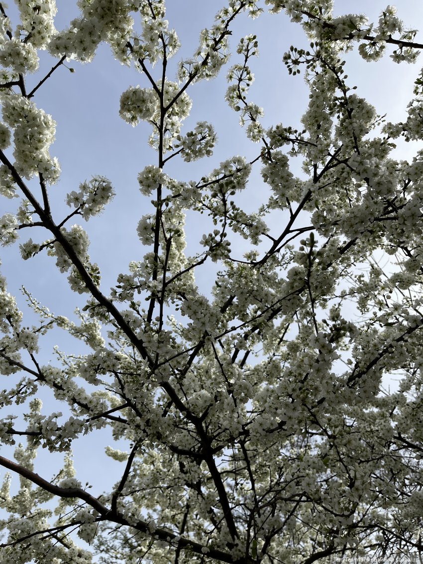 Это просто праздник какой-то! (с)