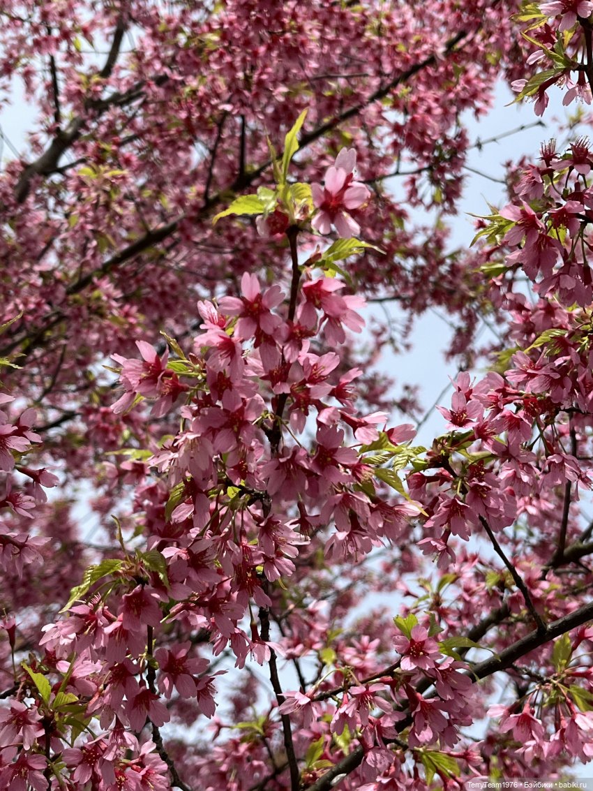 Это просто праздник какой-то! (с)