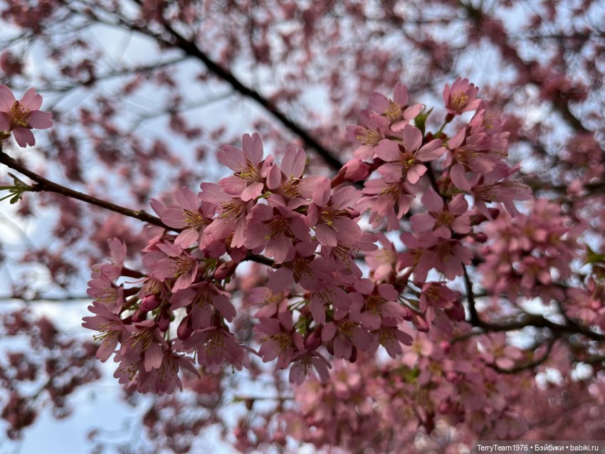 Это просто праздник какой-то! (с) (фото 5)