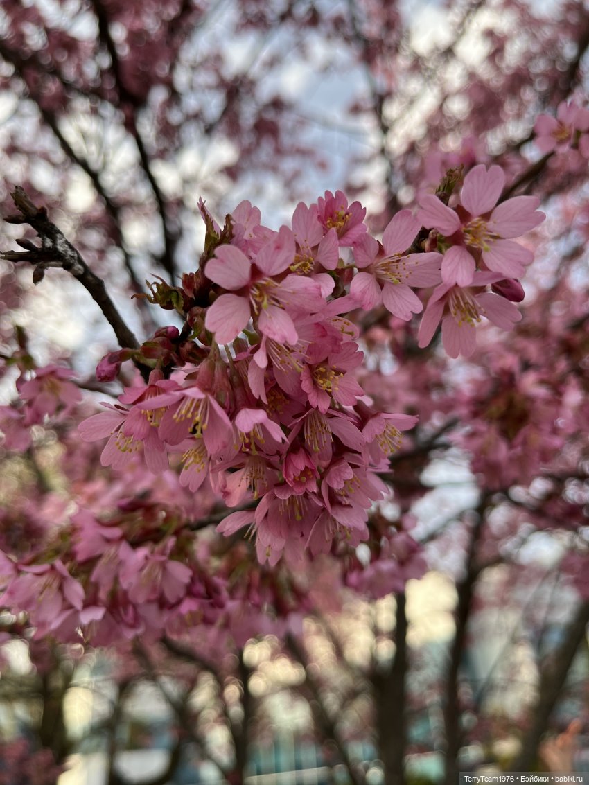 Это просто праздник какой-то! (с) (фото 3)