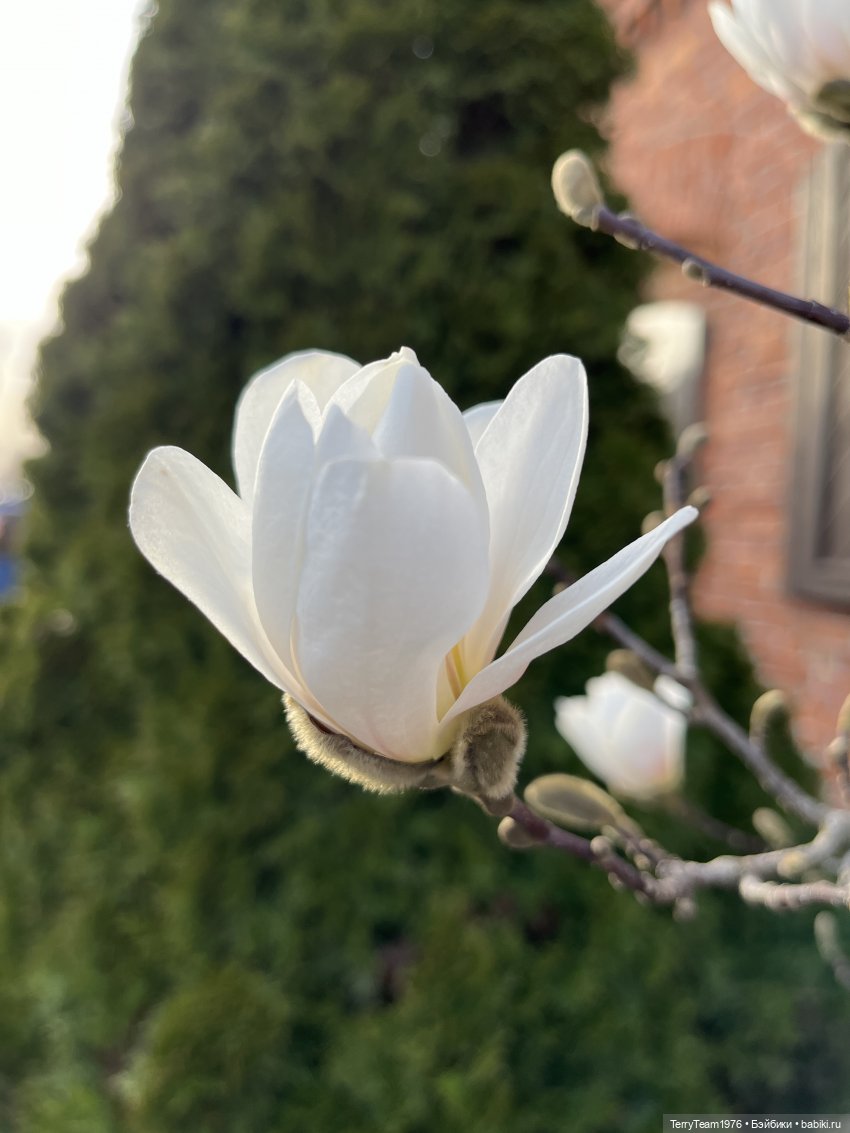 Это просто праздник какой-то! (с)