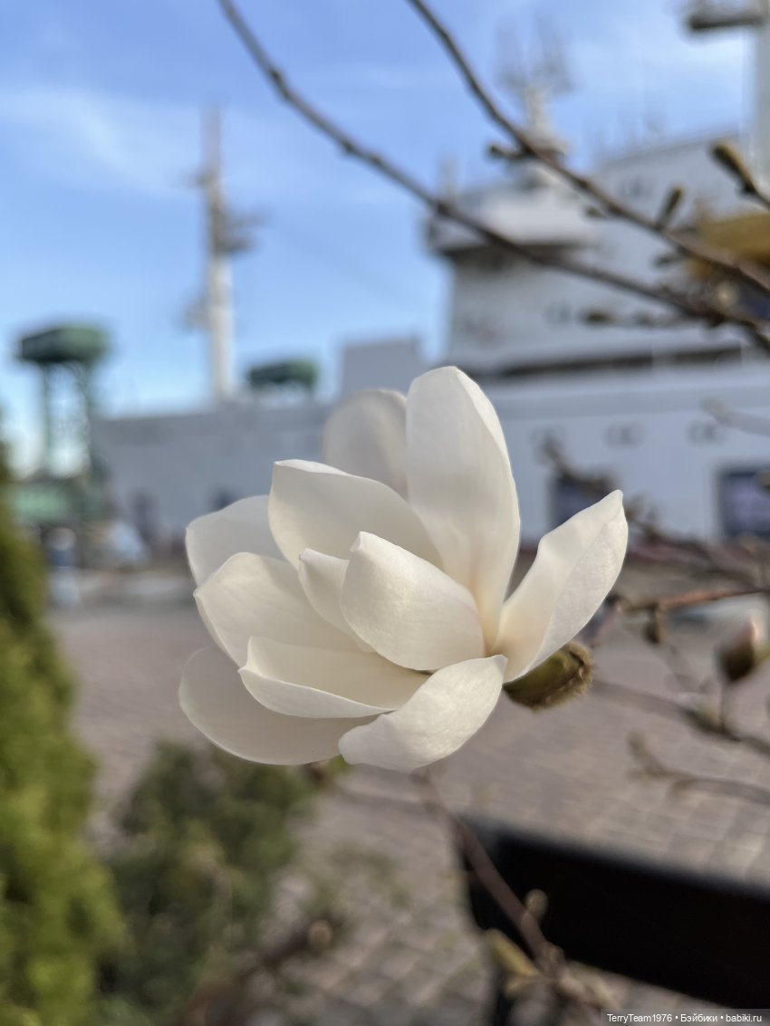 Это просто праздник какой-то! (с)