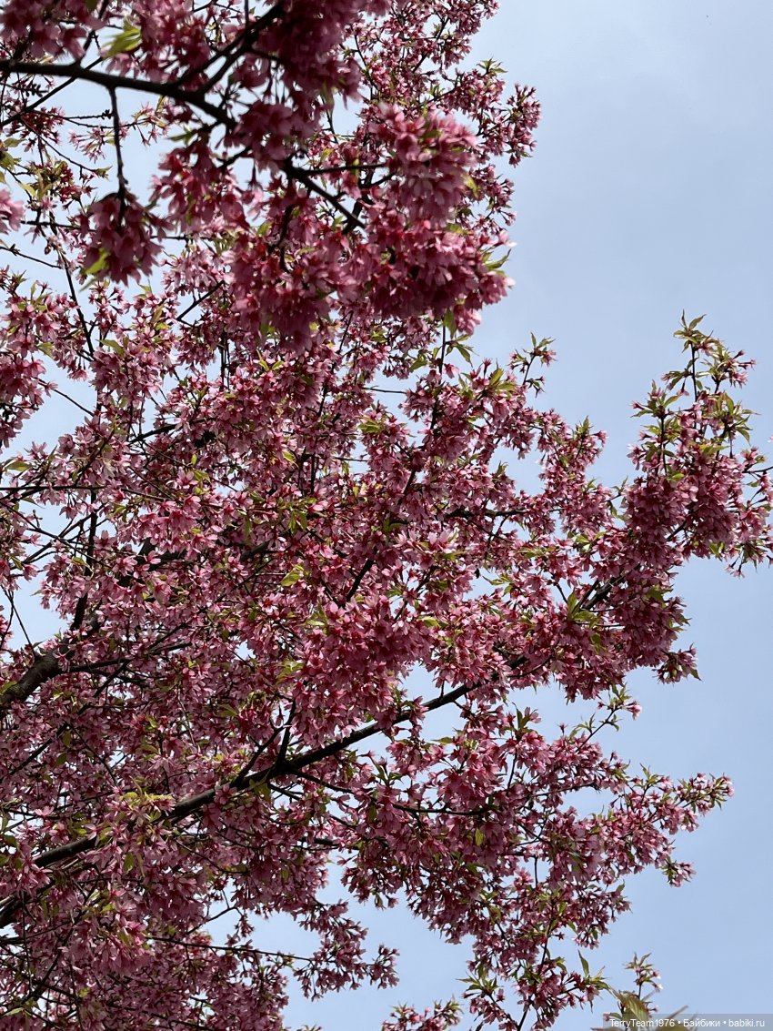 Это просто праздник какой-то! (с)