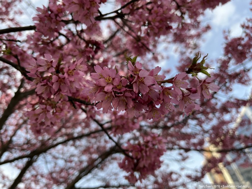 Это просто праздник какой-то! (с) (фото 6)