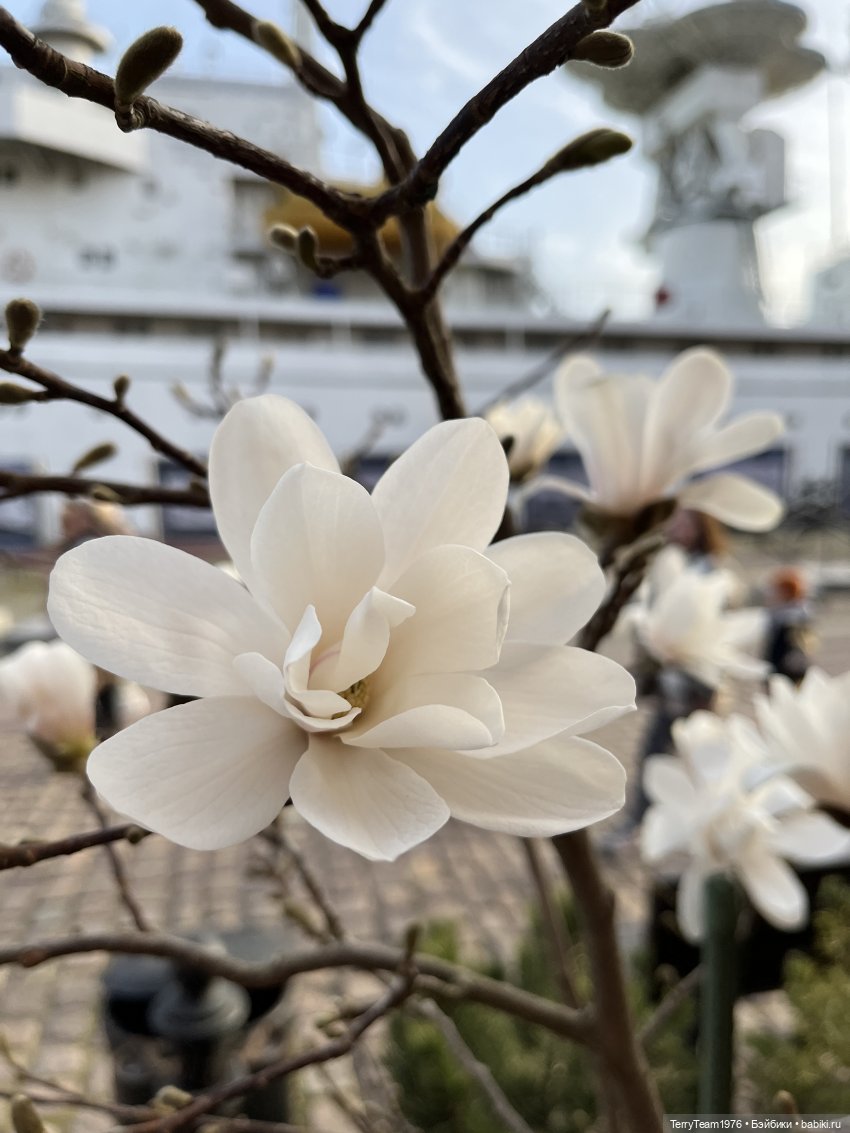 Это просто праздник какой-то! (с)