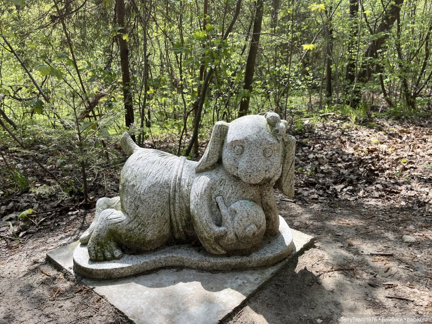 Светлогорск: Гаузупское ущелье (фото 2)