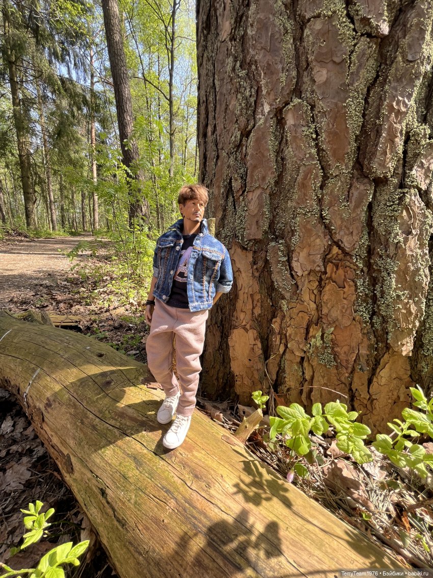 Светлогорск: Гаузупское ущелье