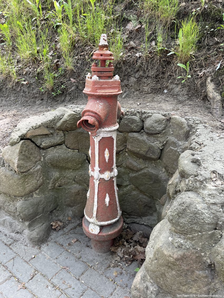 Светлогорск: Гаузупское ущелье