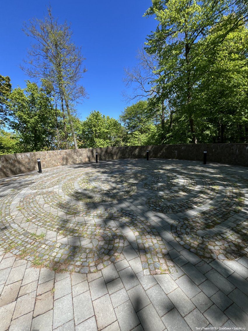 Чем дальше в лес- тем глубже овраги (фото 6)