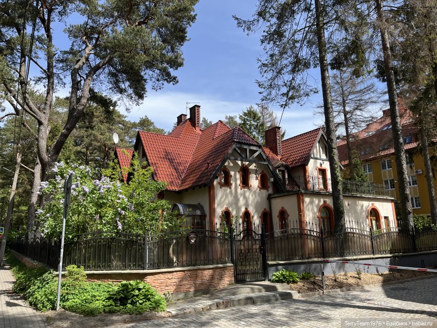 Исследователи побережья: Светлогорск, продолжение | Бэйбики Исследователи побережья: Светлогорск, продолжение (фото 4)