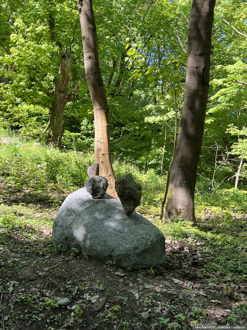 Чем дальше в лес- тем глубже овраги (фото 10)