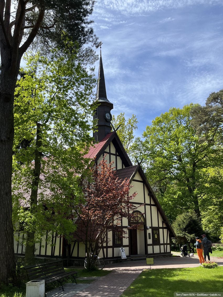 Исследователи побережья: Светлогорск, продолжение | Бэйбики Исследователи побережья: Светлогорск, продолжение (фото 5)